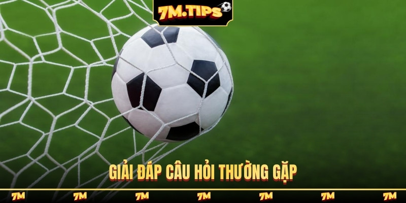 Giải đáp câu hỏi thường gặp